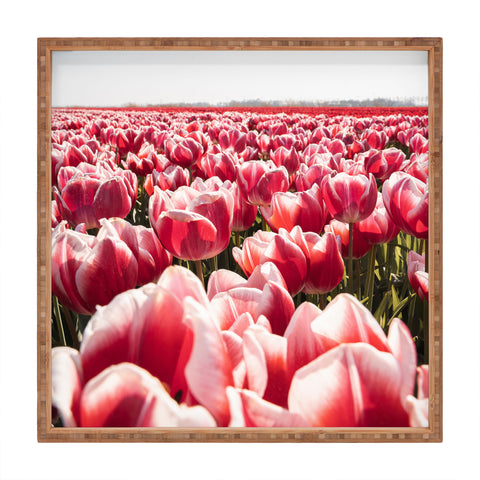 Henrike Schenk - Travel Photography Tulip Field In Holland Floral Square Tray