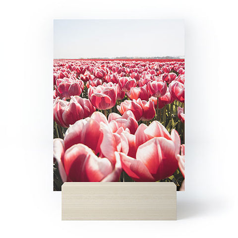 Henrike Schenk - Travel Photography Tulip Field In Holland Floral Mini Art Print