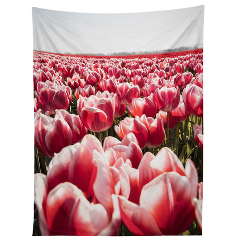 Henrike Schenk - Travel Photography Tulip Field In Holland Floral Tapestry
