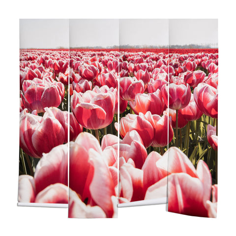 Henrike Schenk - Travel Photography Tulip Field In Holland Floral Wall Mural