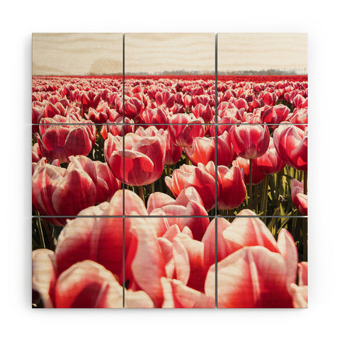 Henrike Schenk - Travel Photography Tulip Field In Holland Floral Wood Wall Mural