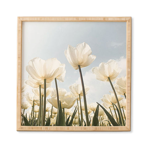 Henrike Schenk - Travel Photography White Tulips In Spring In Holland Framed Wall Art