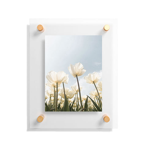 Henrike Schenk - Travel Photography White Tulips In Spring In Holland Floating Acrylic Print