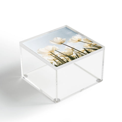 Henrike Schenk - Travel Photography White Tulips In Spring In Holland Acrylic Box