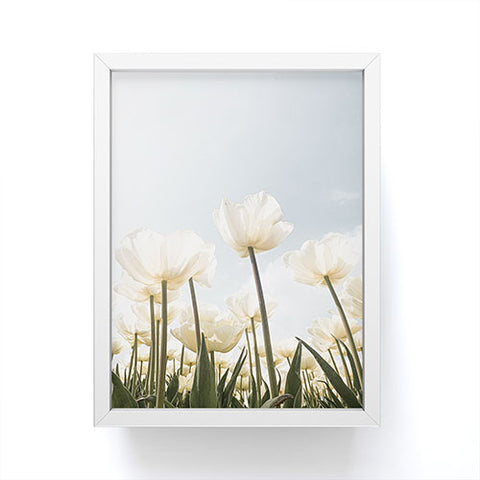 Henrike Schenk - Travel Photography White Tulips In Spring In Holland Framed Mini Art Print