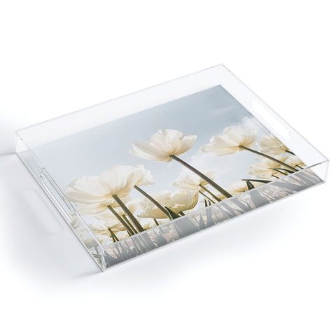 Henrike Schenk - Travel Photography White Tulips In Spring In Holland Acrylic Tray