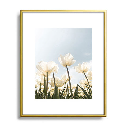 Henrike Schenk - Travel Photography White Tulips In Spring In Holland Metal Framed Art Print