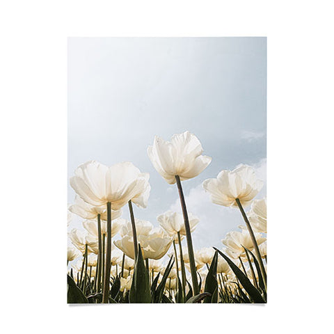 Henrike Schenk - Travel Photography White Tulips In Spring In Holland Poster