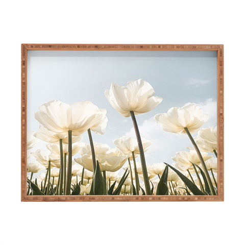Henrike Schenk - Travel Photography White Tulips In Spring In Holland Rectangular Tray