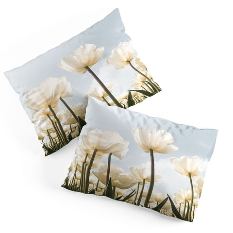 Henrike Schenk - Travel Photography White Tulips In Spring In Holland Pillow Shams