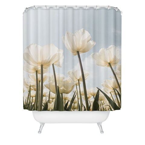 Henrike Schenk - Travel Photography White Tulips In Spring In Holland Shower Curtain