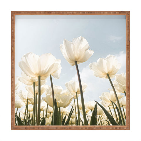Henrike Schenk - Travel Photography White Tulips In Spring In Holland Square Tray