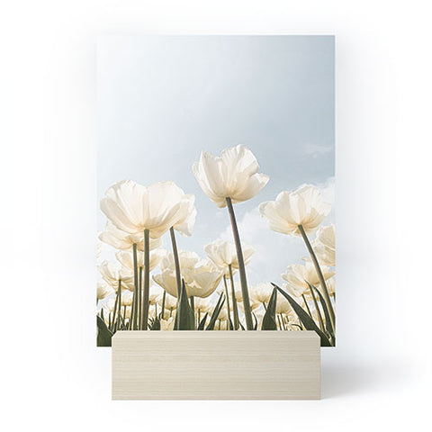 Henrike Schenk - Travel Photography White Tulips In Spring In Holland Mini Art Print