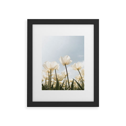 Henrike Schenk - Travel Photography White Tulips In Spring In Holland Framed Art Print