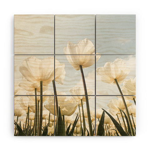 Henrike Schenk - Travel Photography White Tulips In Spring In Holland Wood Wall Mural