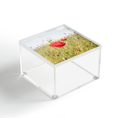 Henrike Schenk - Travel Photography Wildflower Field Poppy Flower Acrylic Box