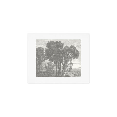 HMCraig Beaux Arbres Beautiful Trees Art Print