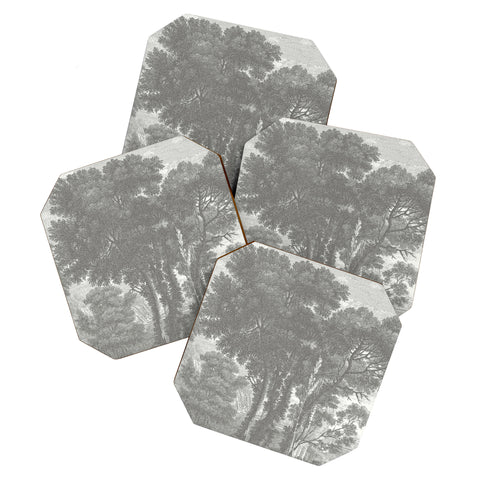HMCraig Beaux Arbres Beautiful Trees Coaster Set