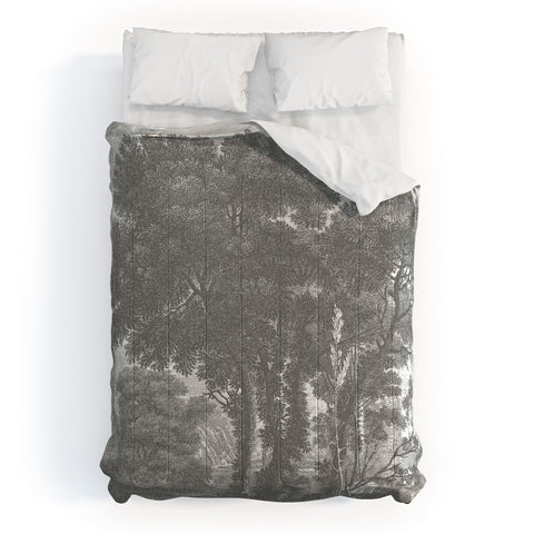 HMCraig Beaux Arbres Beautiful Trees Comforter