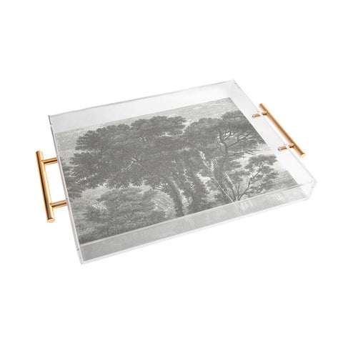 HMCraig Beaux Arbres Beautiful Trees Acrylic Tray