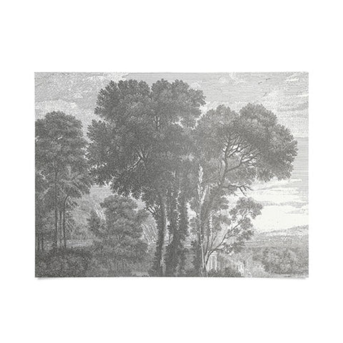 HMCraig Beaux Arbres Beautiful Trees Poster
