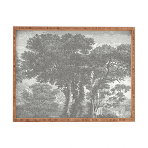 HMCraig Beaux Arbres Beautiful Trees Rectangular Tray