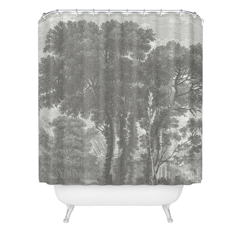 HMCraig Beaux Arbres Beautiful Trees Shower Curtain