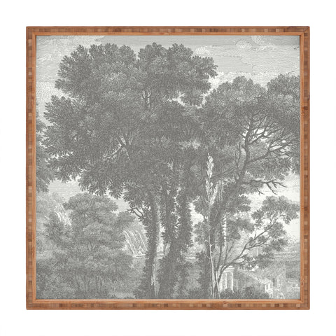 HMCraig Beaux Arbres Beautiful Trees Square Tray