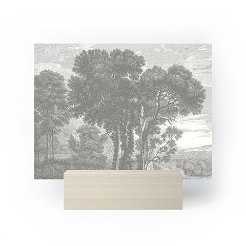 HMCraig Beaux Arbres Beautiful Trees Mini Art Print