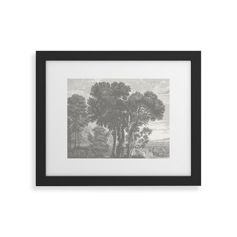 HMCraig Beaux Arbres Beautiful Trees Framed Art Print