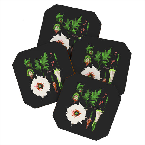 Holli Zollinger DESERT BOTANICAL DATURA Coaster Set