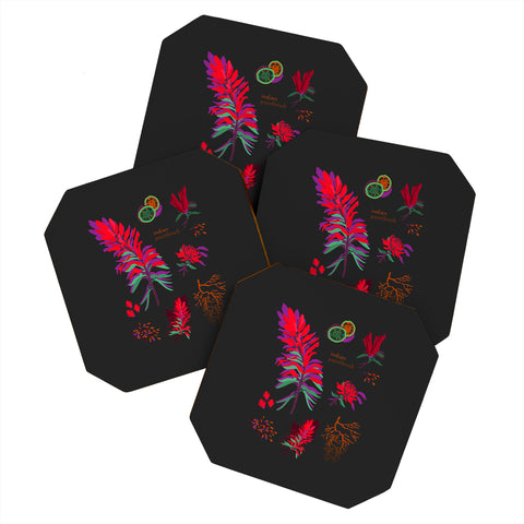 Holli Zollinger DESERT BOTANICAL INDIAN PAINTBRUSH Coaster Set