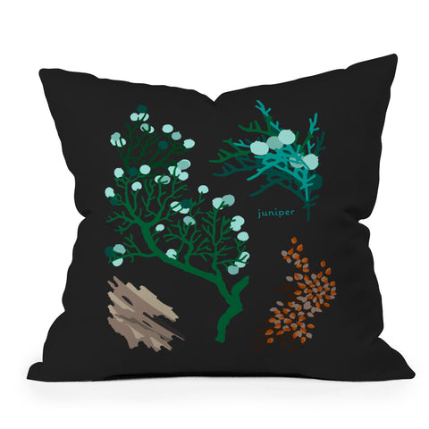 Holli Zollinger DESERT BOTANICAL JUNIPER Outdoor Throw Pillow