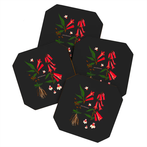 Holli Zollinger DESERT BOTANICAL PENSTEMON Coaster Set