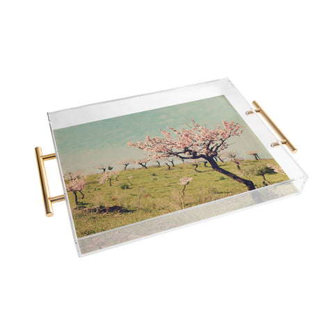 Ingrid Beddoes Almond Blossom Hill Acrylic Tray