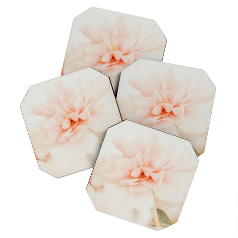 Ingrid Beddoes Burnt Orange Peony Coaster Set