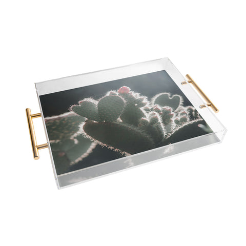 Ingrid Beddoes cactus love Acrylic Tray