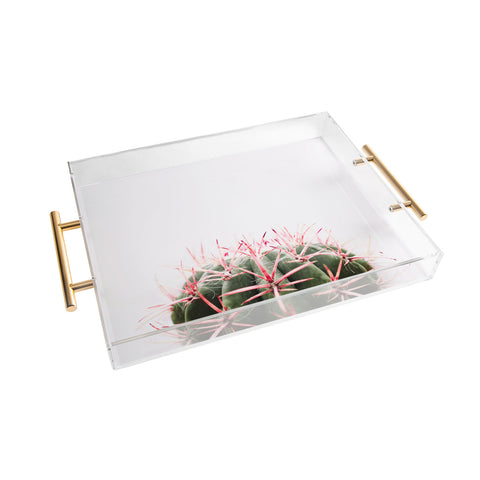 Ingrid Beddoes cactus red Acrylic Tray