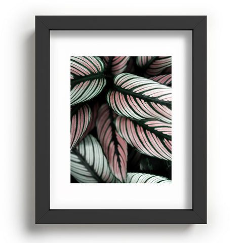 Ingrid Beddoes Calathea Whitestar Leaves Recessed Framing Rectangle