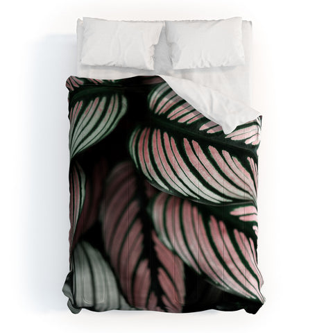 Ingrid Beddoes Calathea Whitestar Leaves Comforter