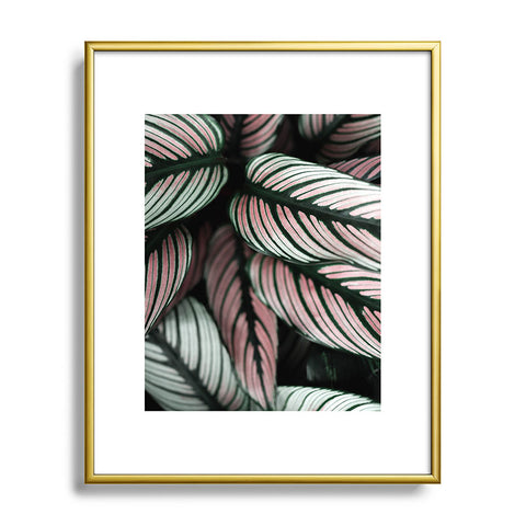 Ingrid Beddoes Calathea Whitestar Leaves Metal Framed Art Print