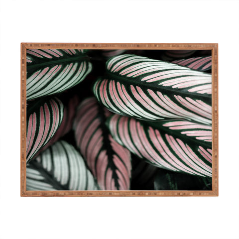 Ingrid Beddoes Calathea Whitestar Leaves Rectangular Tray