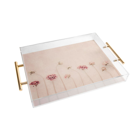 Ingrid Beddoes Cameo Pink Acrylic Tray