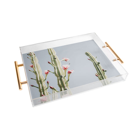 Ingrid Beddoes Cereus Cactus Blush Desert Cactus Acrylic Tray