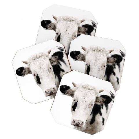 Ingrid Beddoes Domino Coaster Set