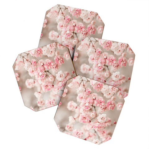Ingrid Beddoes Gypsophila pink blush Coaster Set