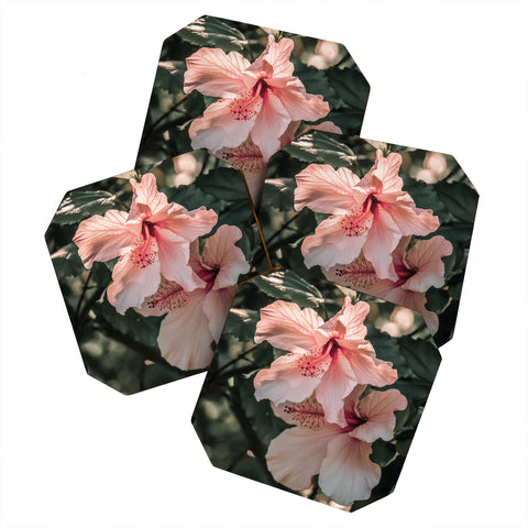 Ingrid Beddoes Hibiscus Flowers Coaster Set