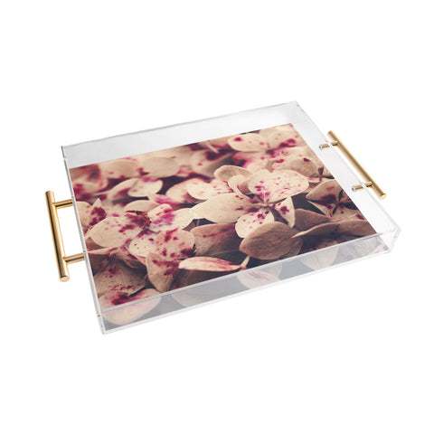 Ingrid Beddoes Hydrangea Pink Freckels Acrylic Tray