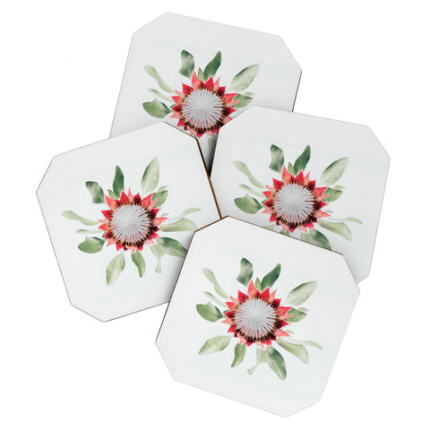 Ingrid Beddoes King Protea flower II Coaster Set