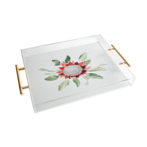 Ingrid Beddoes King Protea flower II Acrylic Tray